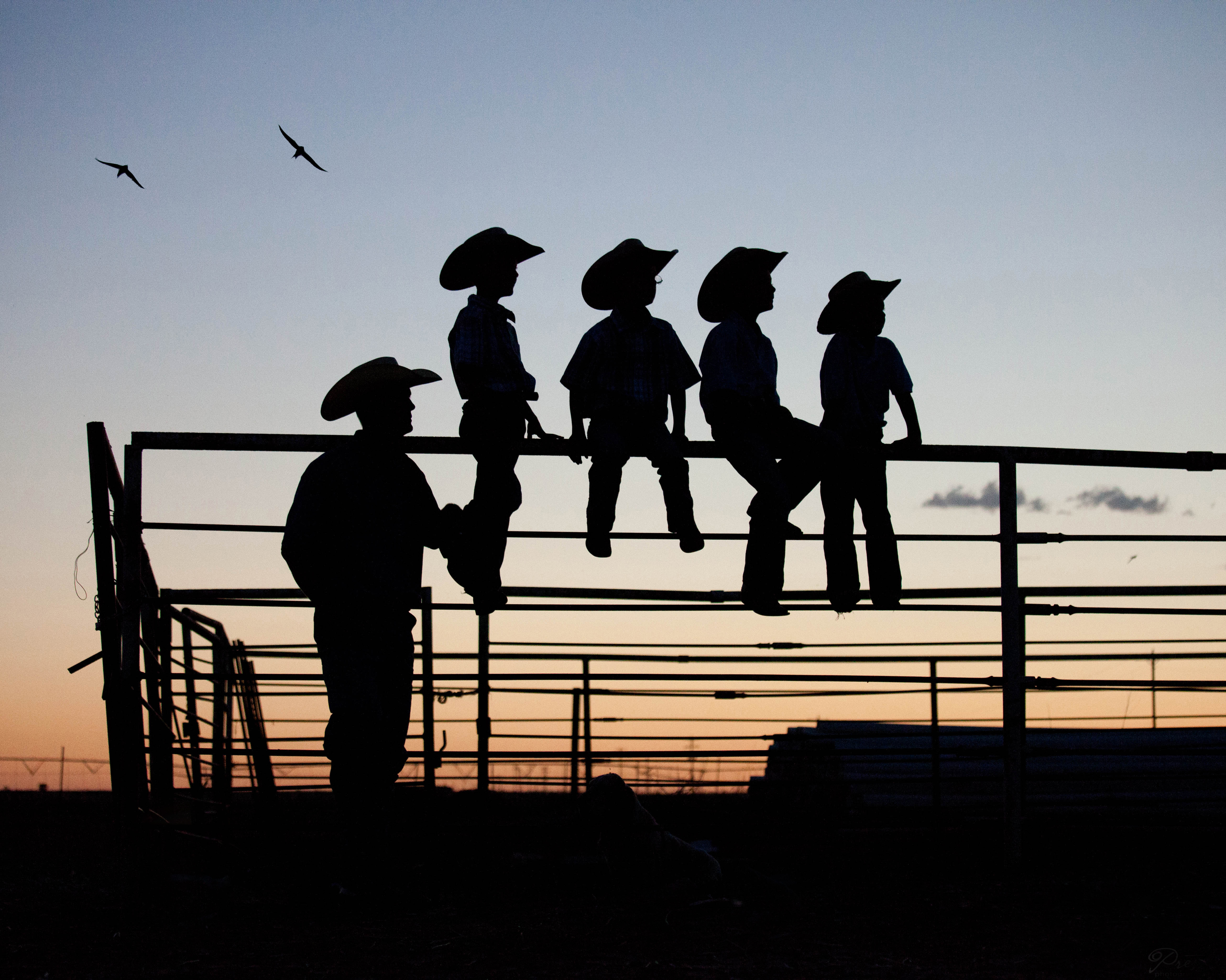 Why Traditional Estate Planning Fails Farm Families
