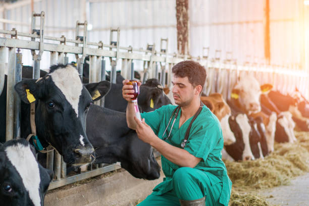 What to Do When You Receive a Board Complaint as a Large Animal Veterinarian